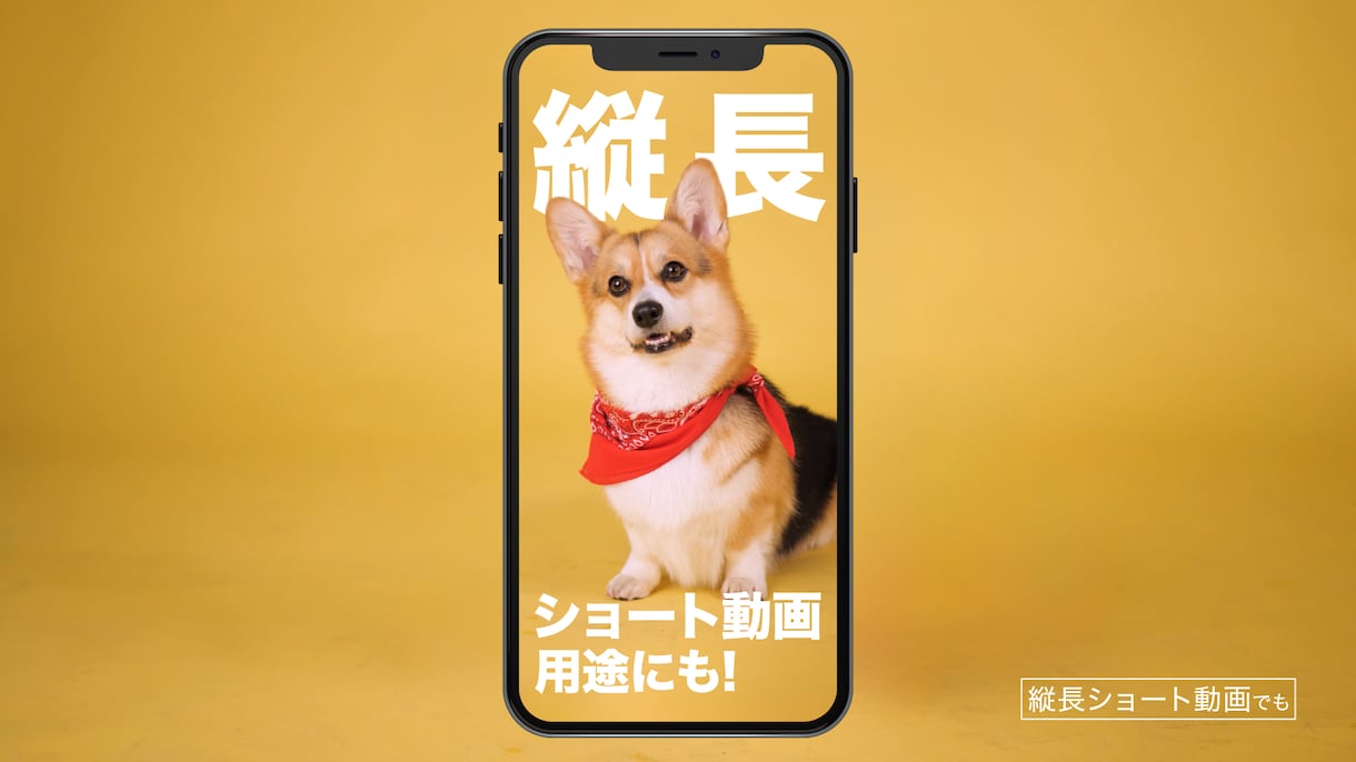 映像の人物のうしろに演出テロップを合成します 実写動画のマスキング処理＋テロップ合成処理 イメージ9
