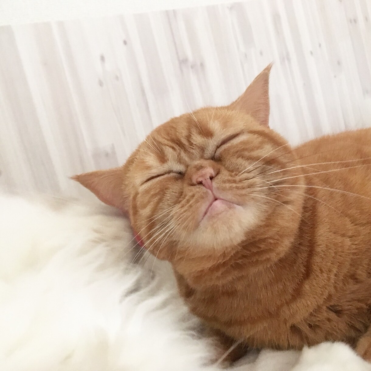豊かな生活とお金に余裕を作るアドバイスを教えます ★無理なく少しでもお金と心にゆとりを作りたいあなたへ…★ イメージ1