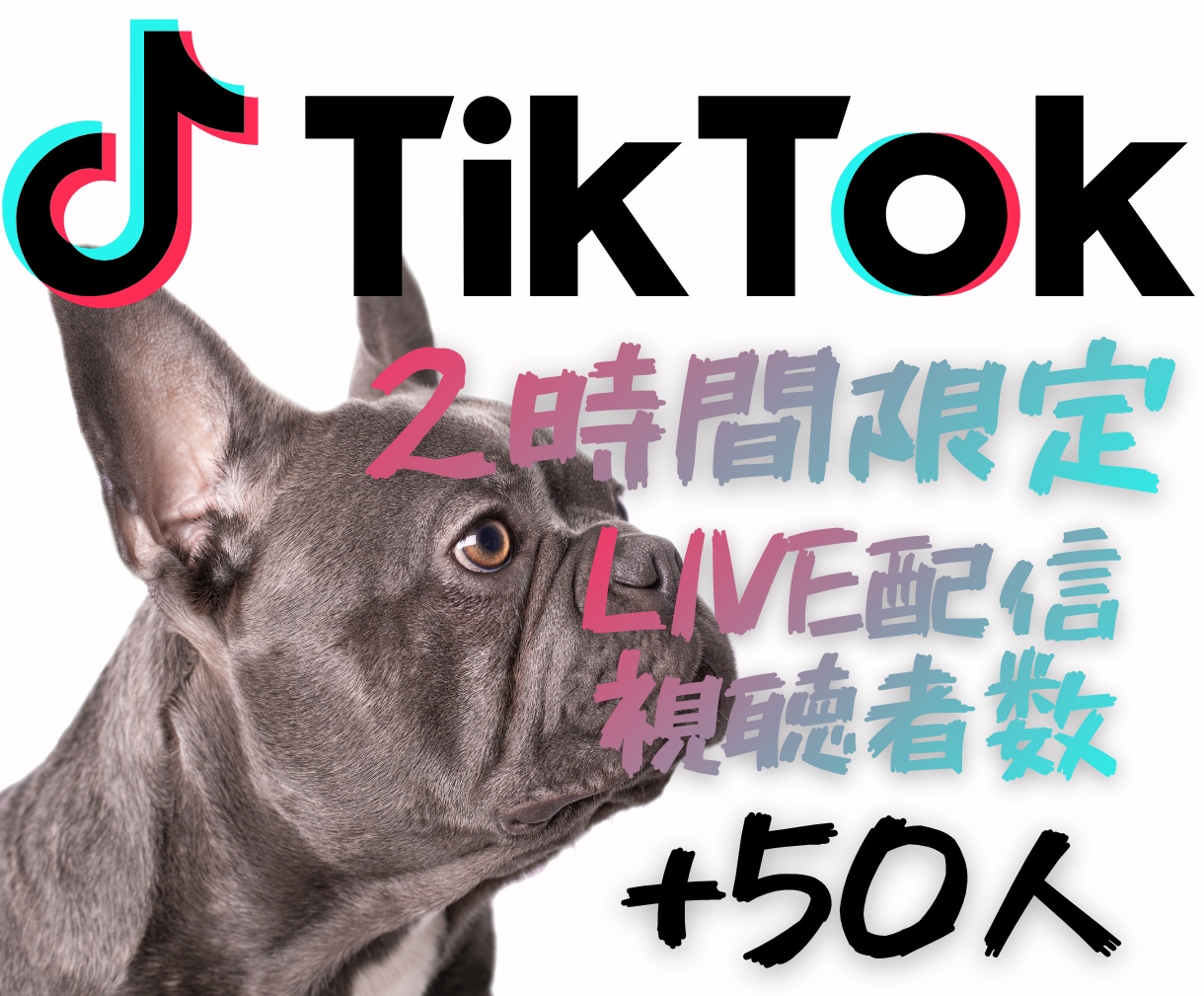 2時間限定✨ライブ配信視聴者50人増やしますます Tiktok✨配信を盛り上がっている空間に変える即効ブースト イメージ1