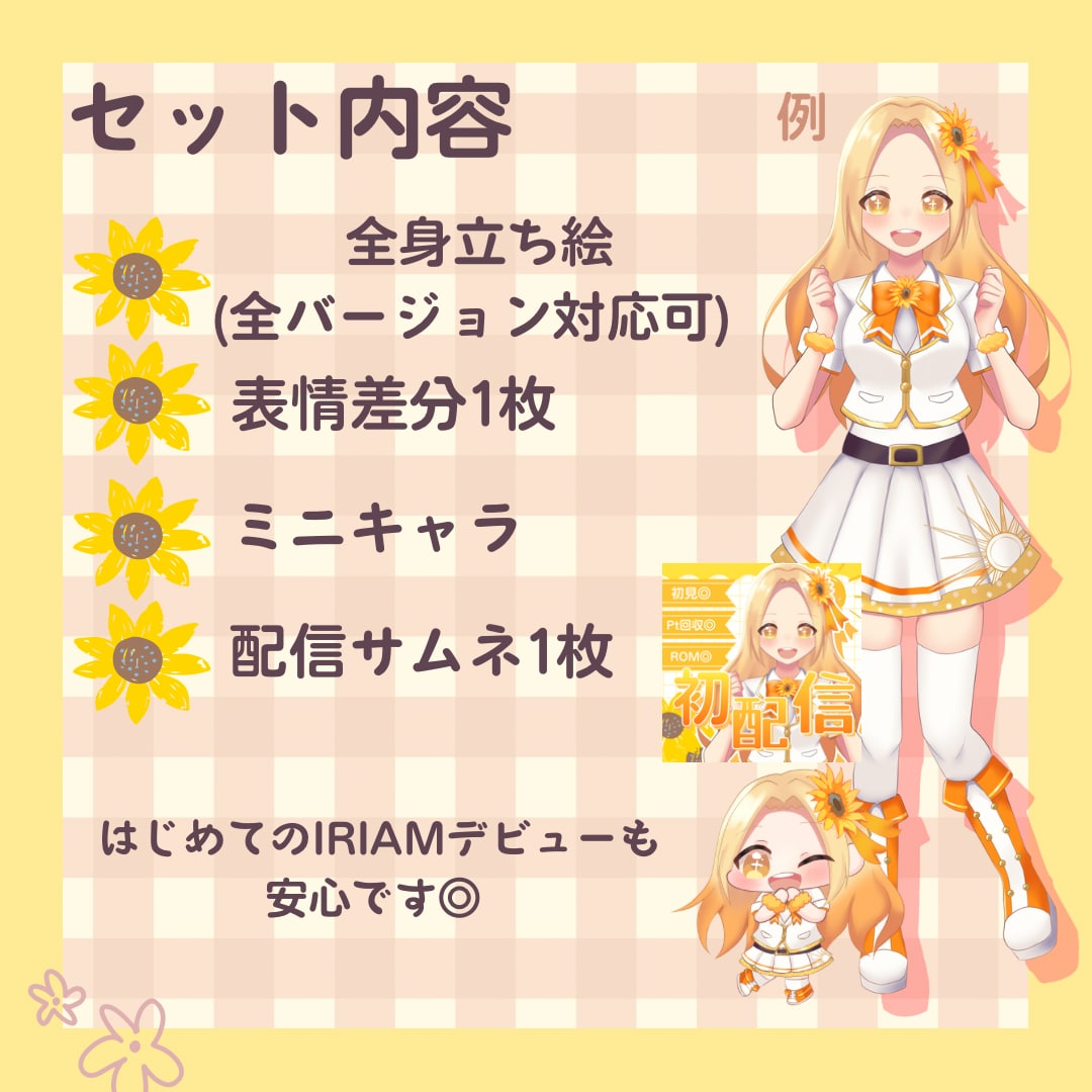 はじめてのIRIAMデビューを安心サポートします これ1つでIRIAMデビュー準備が整います◎ イメージ2