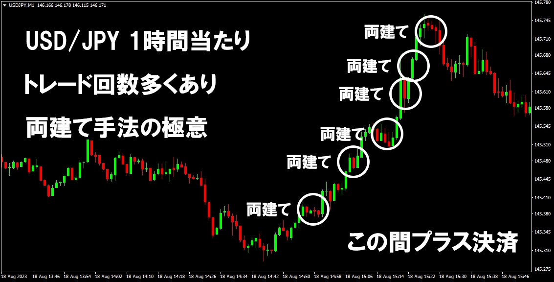 FX専業プロの両建て手法をお教えします 5年に渡ってトレードしてきた自信を持ってお勧めする両建て手法 イメージ2