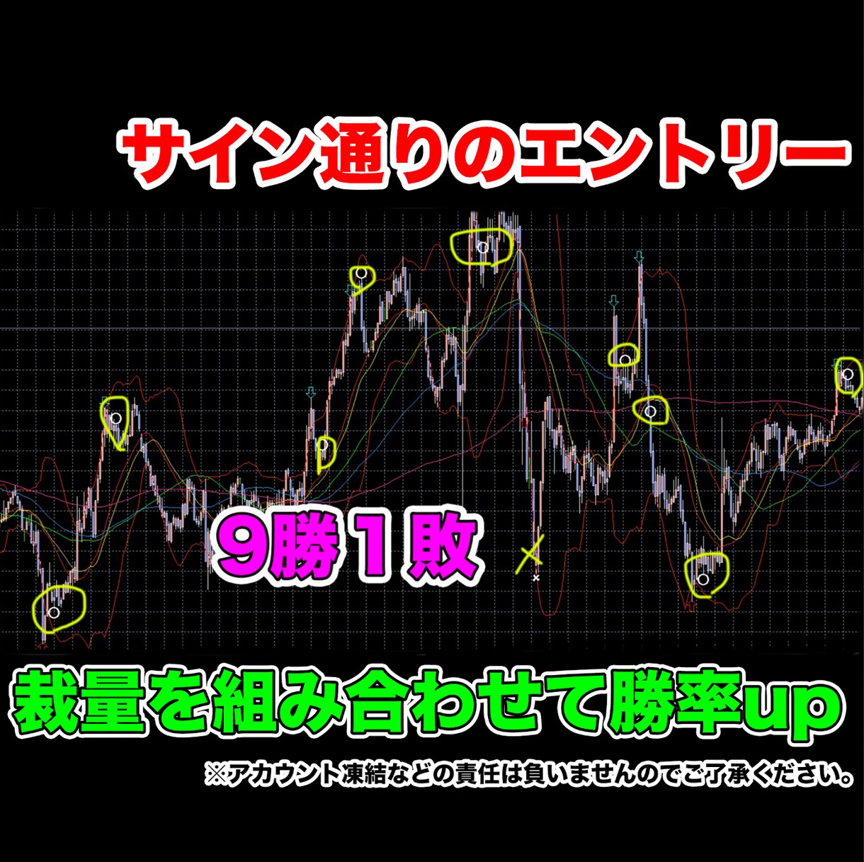 バイナリー傑作の商品全セットをこの価格で提供します 【3/15まで】49000円相当が破格価格！レビュー高評価 イメージ1