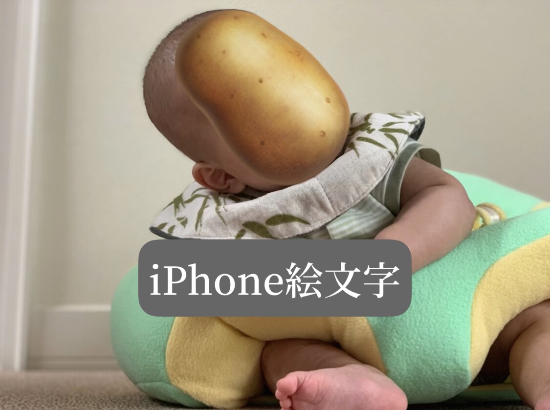 お子さんやお家にモザイク付けます SNSに載せたい可愛い動画を安全にシェアしませんか？ イメージ5