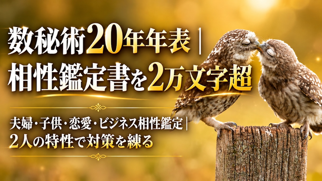 数秘術20年年表｜相性鑑定書を2万文字超で作ります 夫婦・子供・恋愛・ビジネス相性鑑定｜2人の特性で対策を練る イメージ1