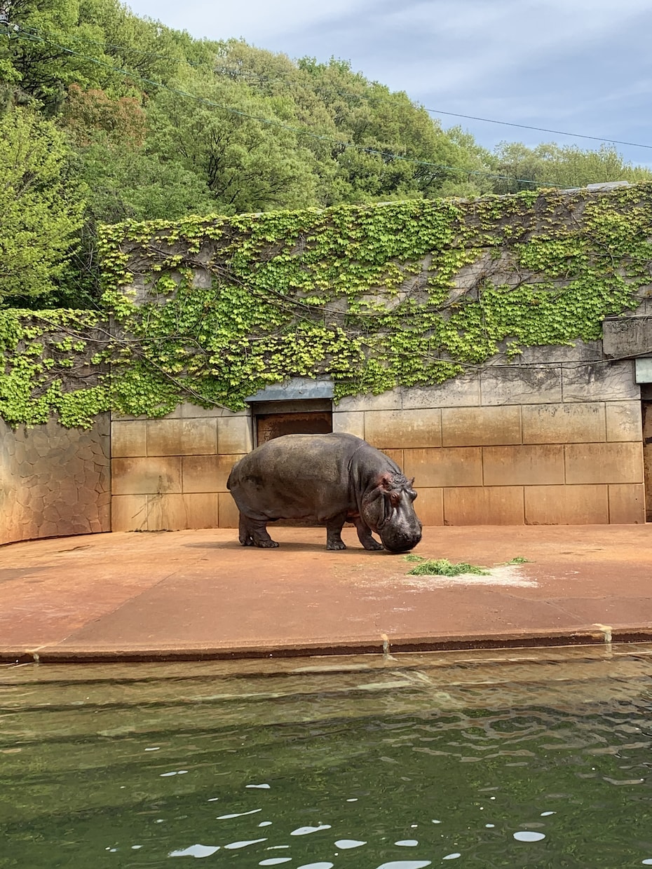 旅行のスケジュール提案します 考える暇はないけど、しっかり楽しみたい方へ イメージ1