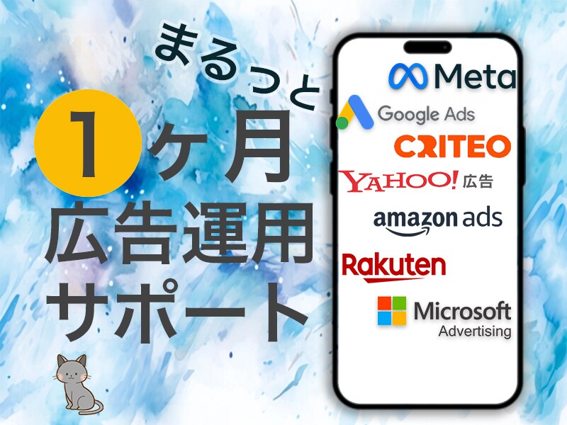 Web広告 まるっと1ヵ月運用代行します 広告代理店出身者⭐︎全媒体1ヶ月間サポート付き イメージ1