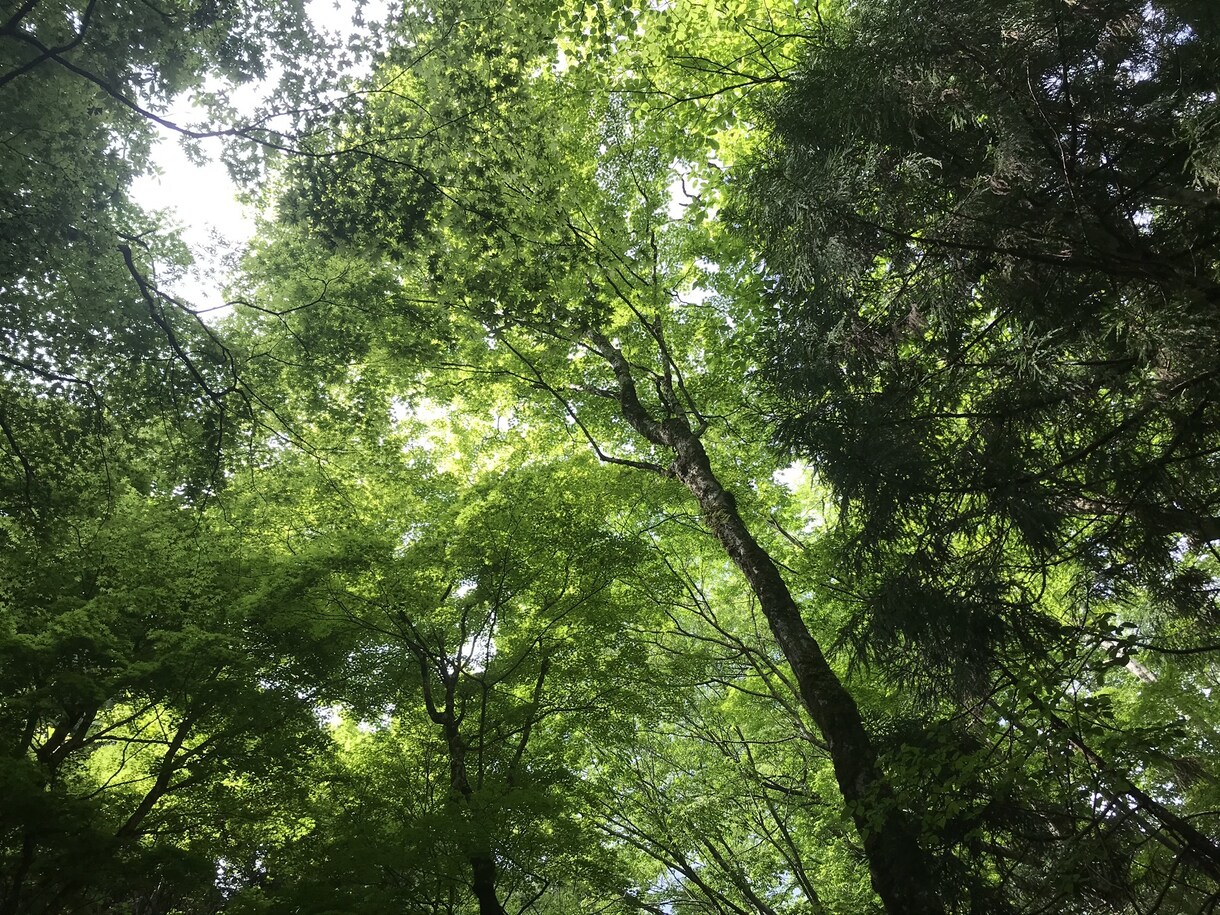 大腸癌克服経験有りですがお話聞きします 年齢性別関係無し！癌の経験、話し合いましょう！ イメージ2