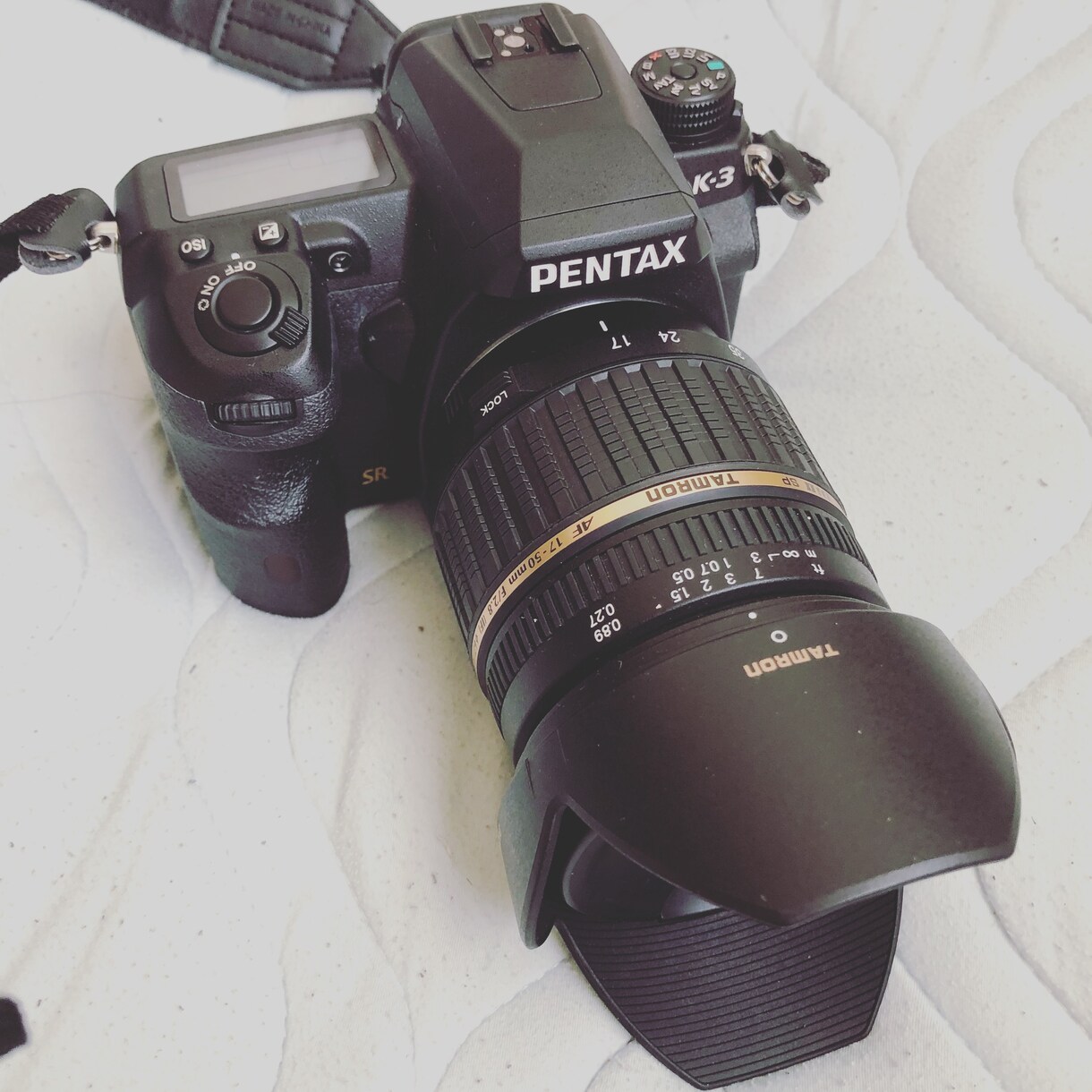 私の撮影した写真を提供します ホームページ・ブログに使う素材を探している方へ。 イメージ6