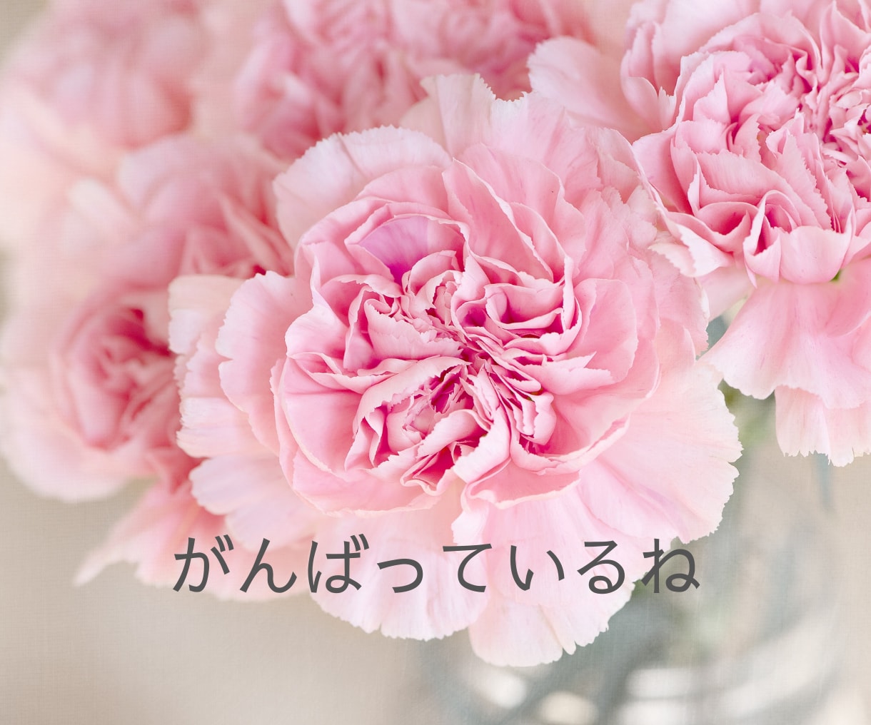 幸せな恋愛・結婚・再婚へ繋がるサポートいたします 経験者・婚活心理カウンセラーが辛い恋愛卒業のお手伝いをします イメージ9
