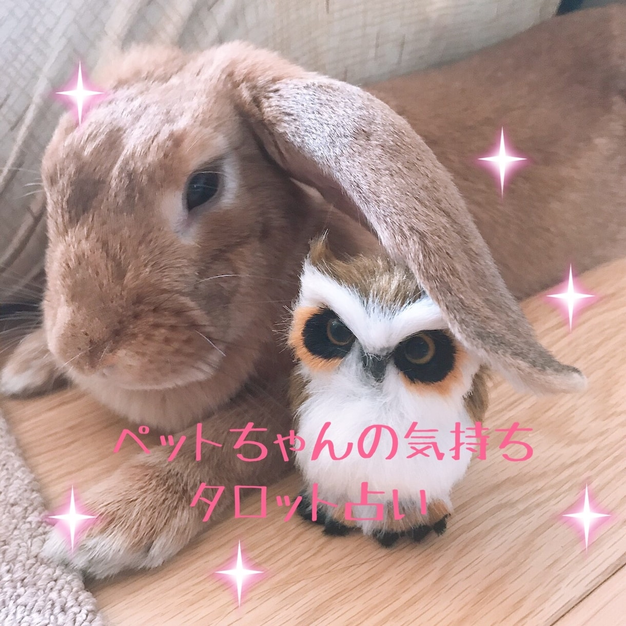 アニマルコミュニケーション！ペットの気持ち占います 自分のペットはどう思っているんだろう？相性はどうなのかな？ イメージ2