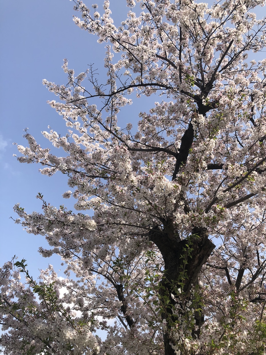 どんな方のお話もご対応させて頂きます 〜あなただけだと思っていませんか〜秘密は絶対に守ります イメージ6