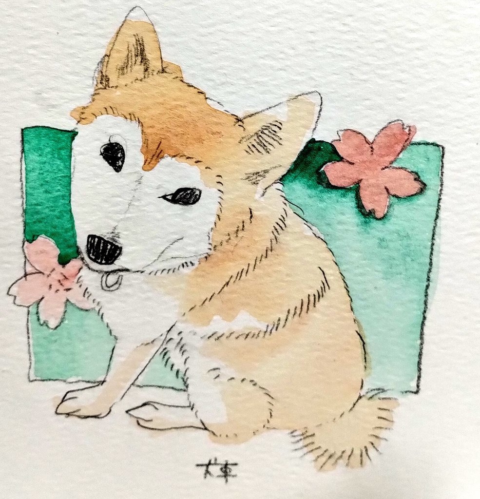 あなたの大切なペットの似顔絵を描きます 水彩やデジタルであなたのペットをお描きします。 イメージ3
