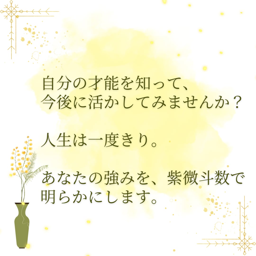 一生モノの設計図！紫微斗数であなたの宿命を占います 紫微斗数で可視化！あなたが今世で果たすべき使命と才能 イメージ2