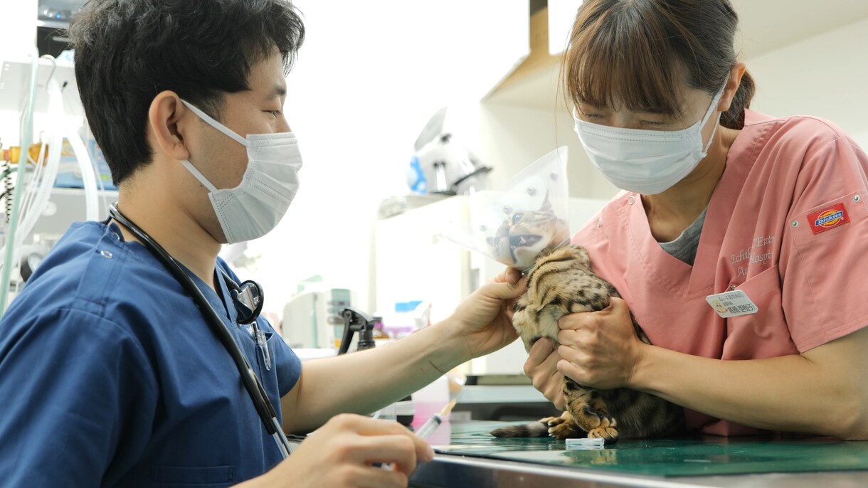 病院・クリニックのためのPRや採用動画制作します 病院、クリニック撮影経験多数。撮影を知り尽くしたプロが撮影 イメージ6