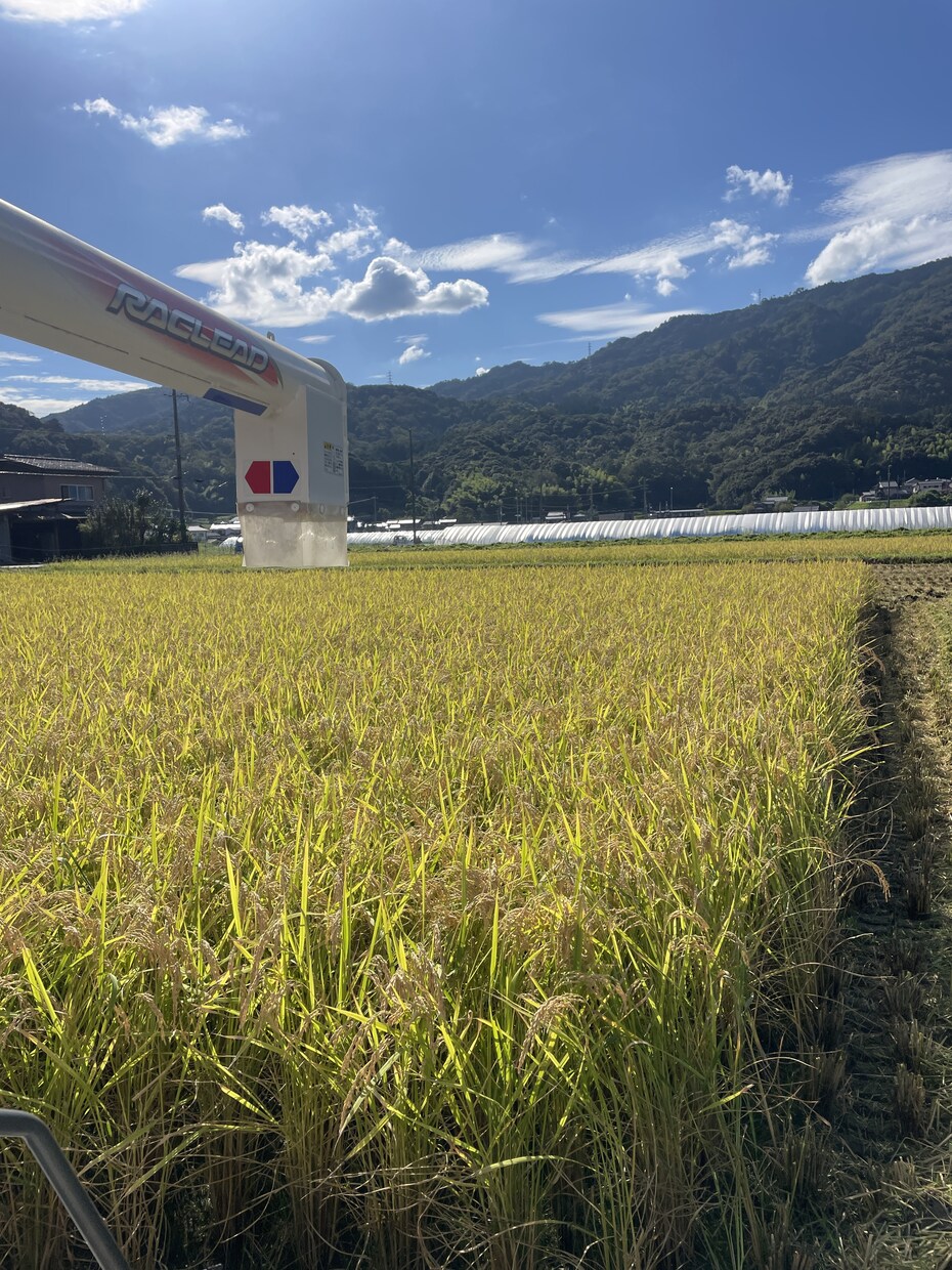元地域おこし協力隊が移住のいろはをお伝えします 移住→定住。知り合い０からの移住。あなたの不安を聞きます！ イメージ1