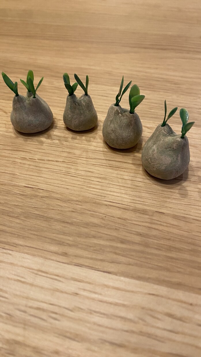 塊根植物フィギュアつくります 木製粘土や小物で、塊根植物の世界を楽しみませんか！ イメージ3