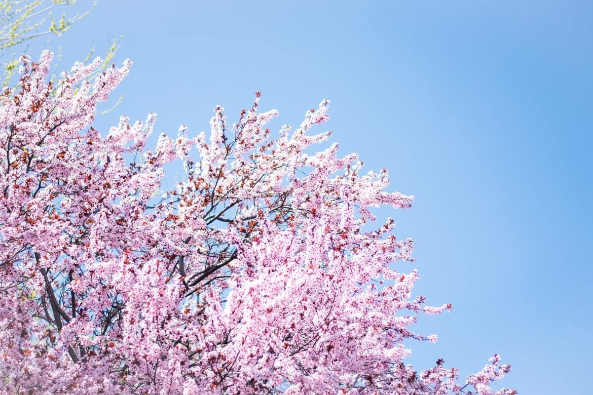 すれ違い•価値観の違い•夫婦の悩み•に寄り添います 夫婦問題/離婚/別居/レス/愚痴/気持ち/原因/相談/幸せ イメージ4