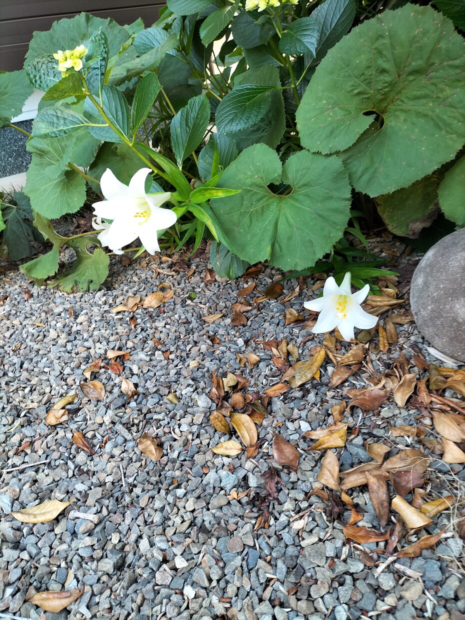なんでも話し聞きます 話し相手にちょうど！なんでもぶつけて！ イメージ1