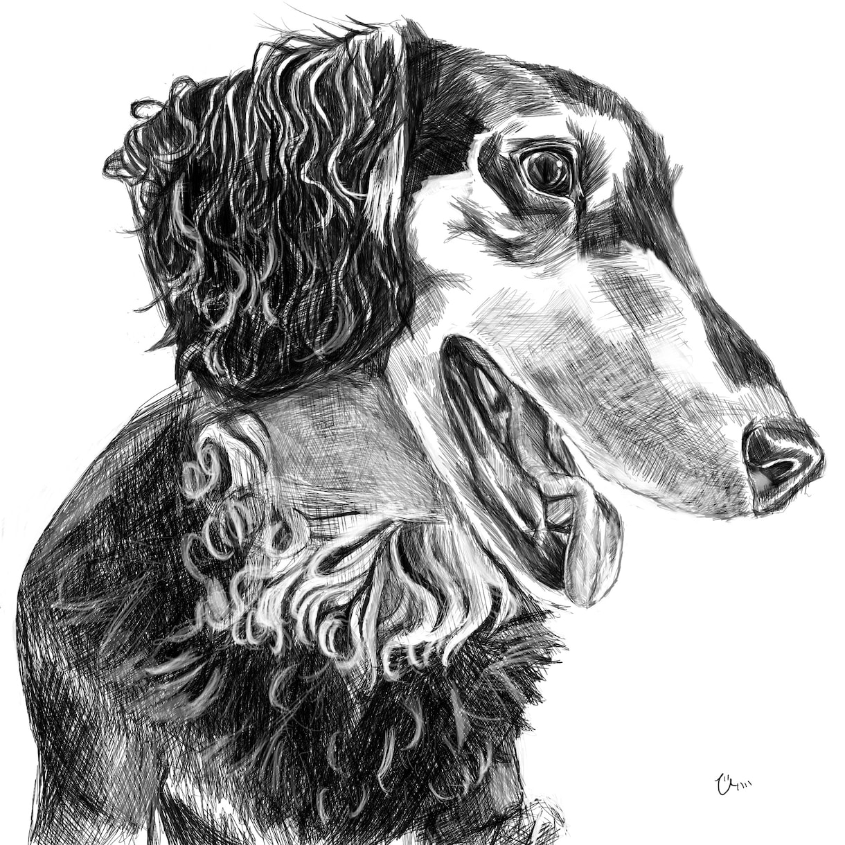 愛犬をペン画風に！デジタルイラスト制作いたします リアルタッチ！ペンで描いたみたいなスケッチイラスト！ イメージ1