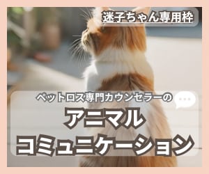 迷子のペットちゃんとお話します うちの子の“いま”を知りたい方へ｜アニマルコミュニケーション | ココナラ