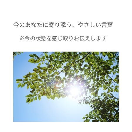 今のあなたに寄り添う、やさしい言葉を伝えます 今のあなたのエネルギーに沿った言葉をサポート イメージ1