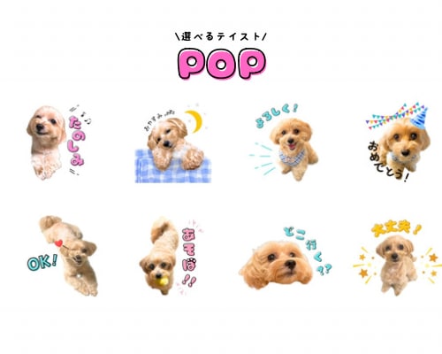 フルオーダーLINEスタンプ★ 8個〜★ 作ります 大切なペットを可愛いスタンプに！重視、丁寧制作 イメージ4