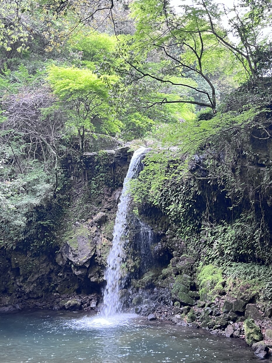 仕事のストレス相談乗ります 悲しい、不安、モヤモヤ、辛い、涙が出る、うつ病、適応障害 イメージ5