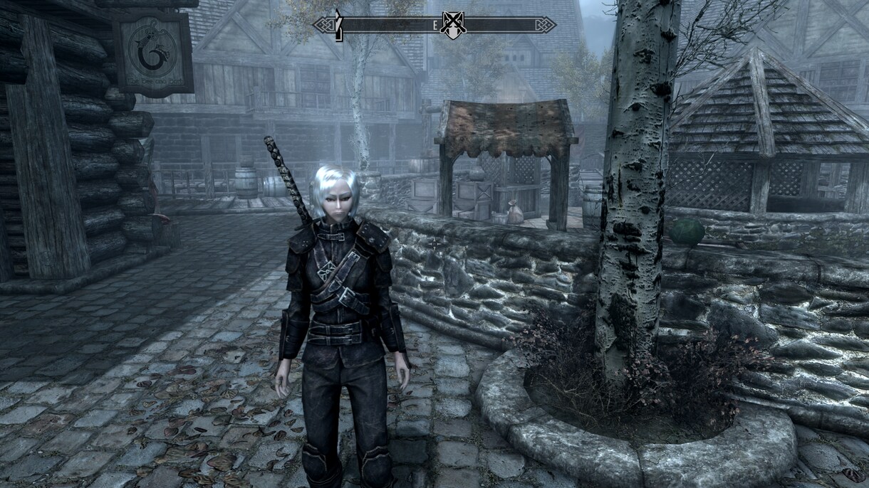 主にBethesda製ゲームキャラクリします SkyrimやOblivion、Fallout等のキャラ整形 イメージ1