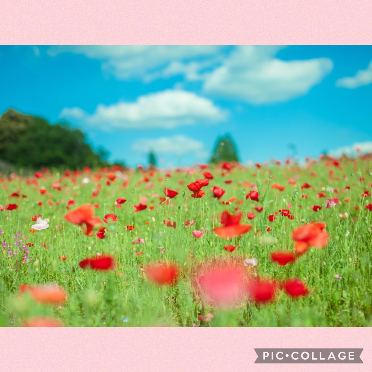 あなたの今すぐ話したい気持ちに寄り添い受けとめます 何気ない雑談から真剣なお悩みまで！気持ちを軽くするお手伝い♡ イメージ5