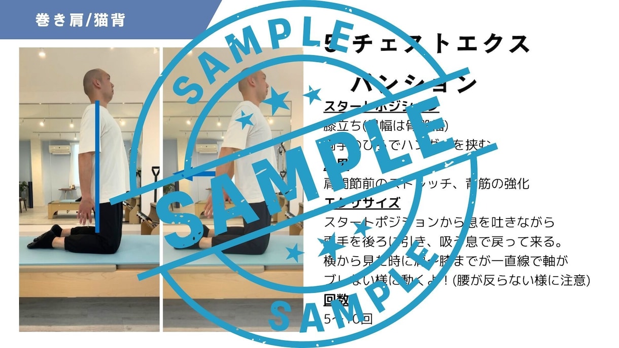 自宅でのトレーニング・ストレッチメニュー作成します エクササイズの解説PDF/動画付き！全力でサポートします！ イメージ2