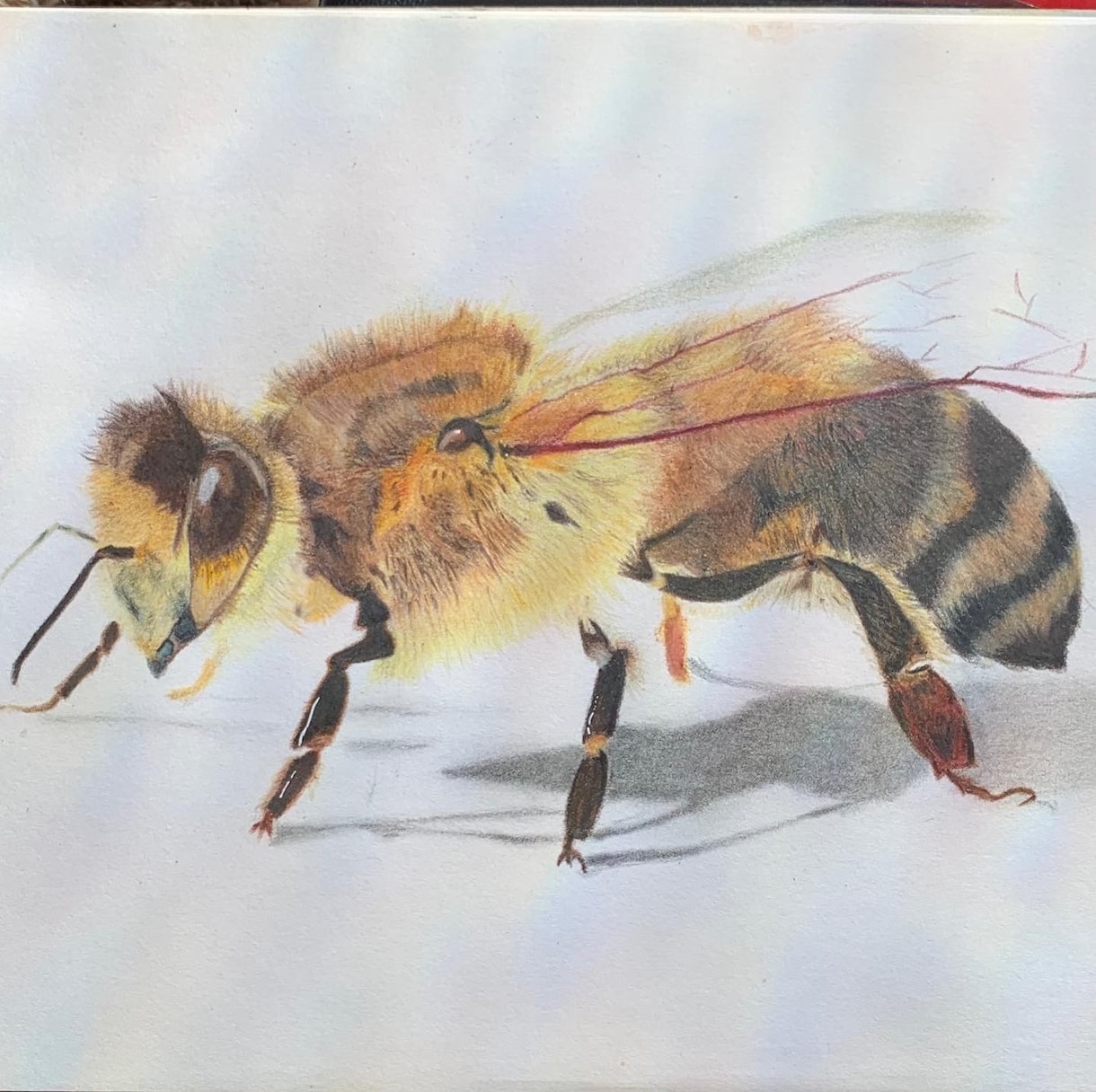 リアルなアナログ絵、メッセージ性のある絵描きます 鉛筆や色鉛筆を使用して描かせていただきます。 イメージ8