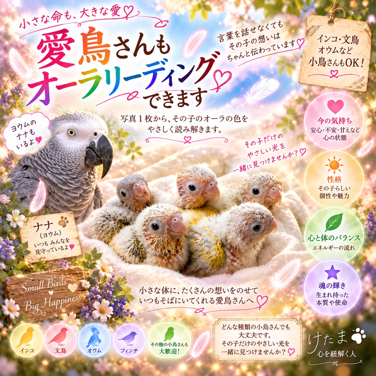 うちの子 オーラを素敵な画像にします 待ち受けにしたい！うちの子オーラを作成します。 イメージ7