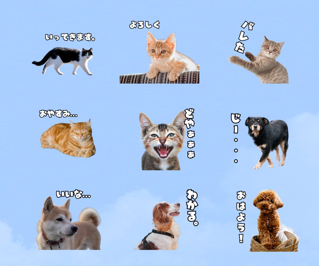 ペットのLINEスタンプ作ります 自分のペットのお気に入りの写真がLINEスタンプに！ イメージ1