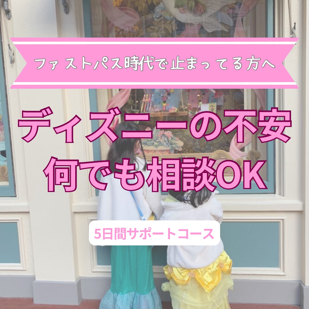 久しぶりディズニーの不安を取り除きます ファストパス時代で止まってる方へ｜5日間相談サポート イメージ1