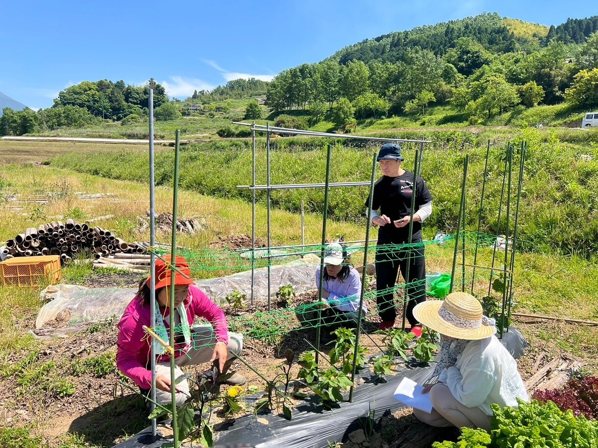 ナチュラル派野菜作りのお悩み相談にのります 10数年、有機・自然栽培で野菜作りをしてきた経験をお話します イメージ4
