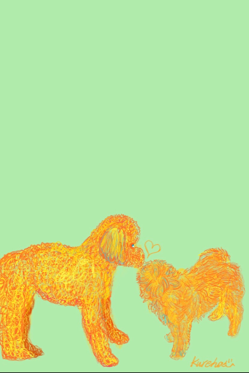 お手頃価格でイラストの制作をします ポップなイラストを気持ちを込めて描かせていただきます イメージ2