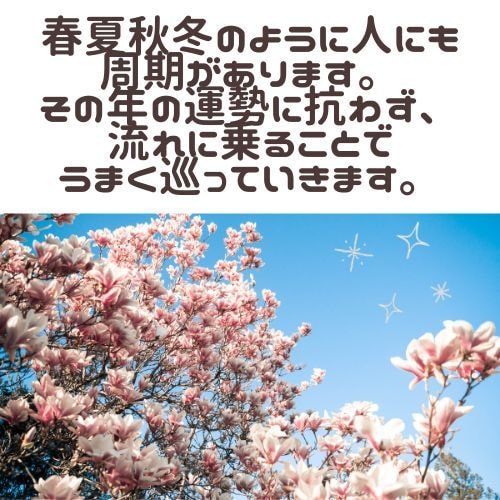 今年もしくは来年についての情報をお伝えします 数秘術とオラクルで導く｜一年の流れと開運テーマ イメージ2