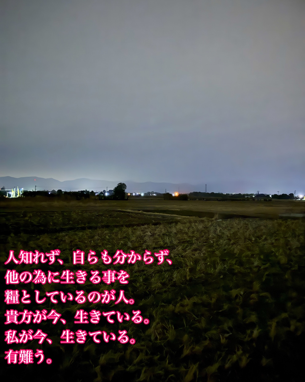 癒しの写真に心に響く詩をつけます Be happy。誰もが抱く夢と希望。ありのままを探して。 イメージ4