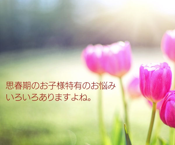 教えて！数秘術❤思春期の子育て悩み相談お聞きします 心配・不安・イライラさようなら！ストレスフリー子育てサポート イメージ3