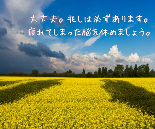 強迫性障害、うつに苦しまれている方に寄り添います 地獄のようなつらさ、理解されない苦しみ、経験者がお聞きします イメージ4