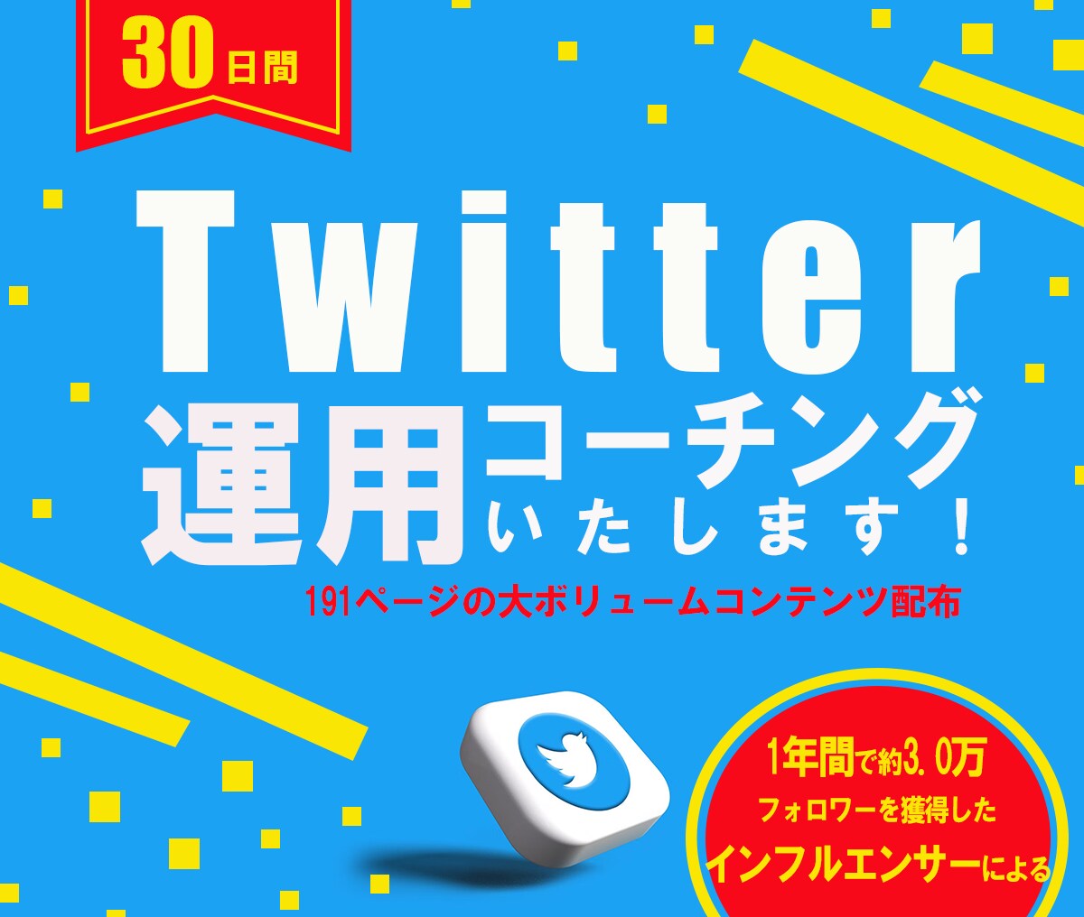 Twitter運用を３０日間コーチングします プロマーケターによるTwitter運用コーチング イメージ1