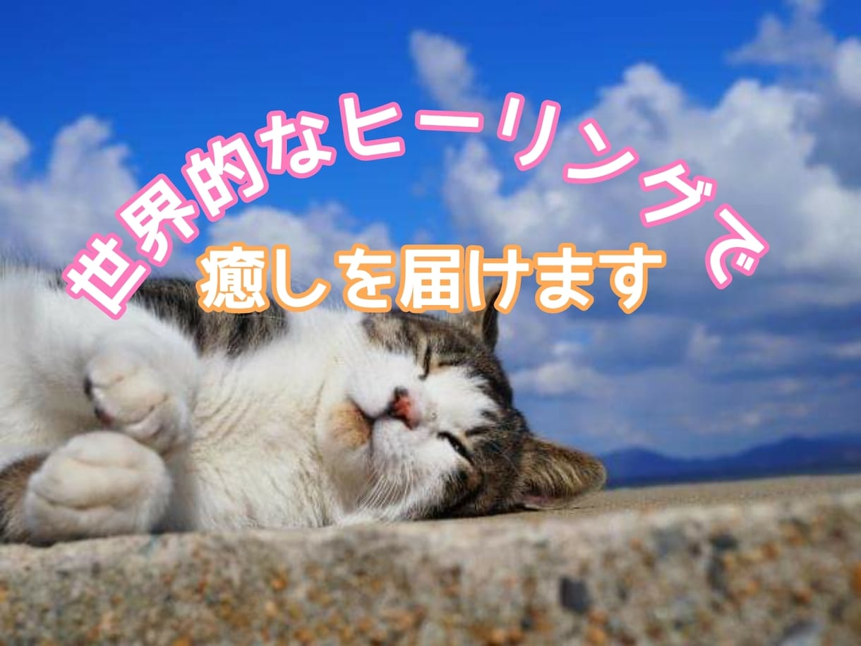 愛と光のヒーリングでアニマルへ癒しをお届けします 世界７０か国に広がり科学的にも証明されている遠隔ヒーリング イメージ2