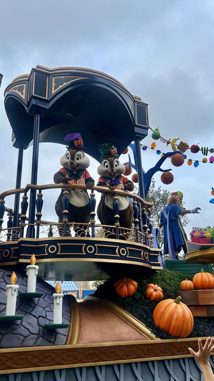 東京ディズニーパークのプラン作成を代行します あなただけの最適プランに元キャストのハウツーを沿えてお届け！ イメージ10