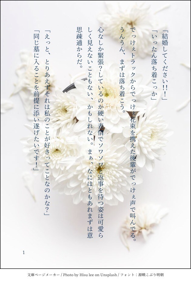 夢・BL小説執筆承ります 一次・二次創作書きます。GL・BL・NL・夢なんでもok イメージ4