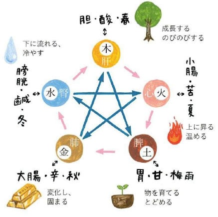カーテンカウンセラーが提案の安全性をチェックします 家族の体質に合った内装カラーをセカンドオピニオン診断します イメージ6