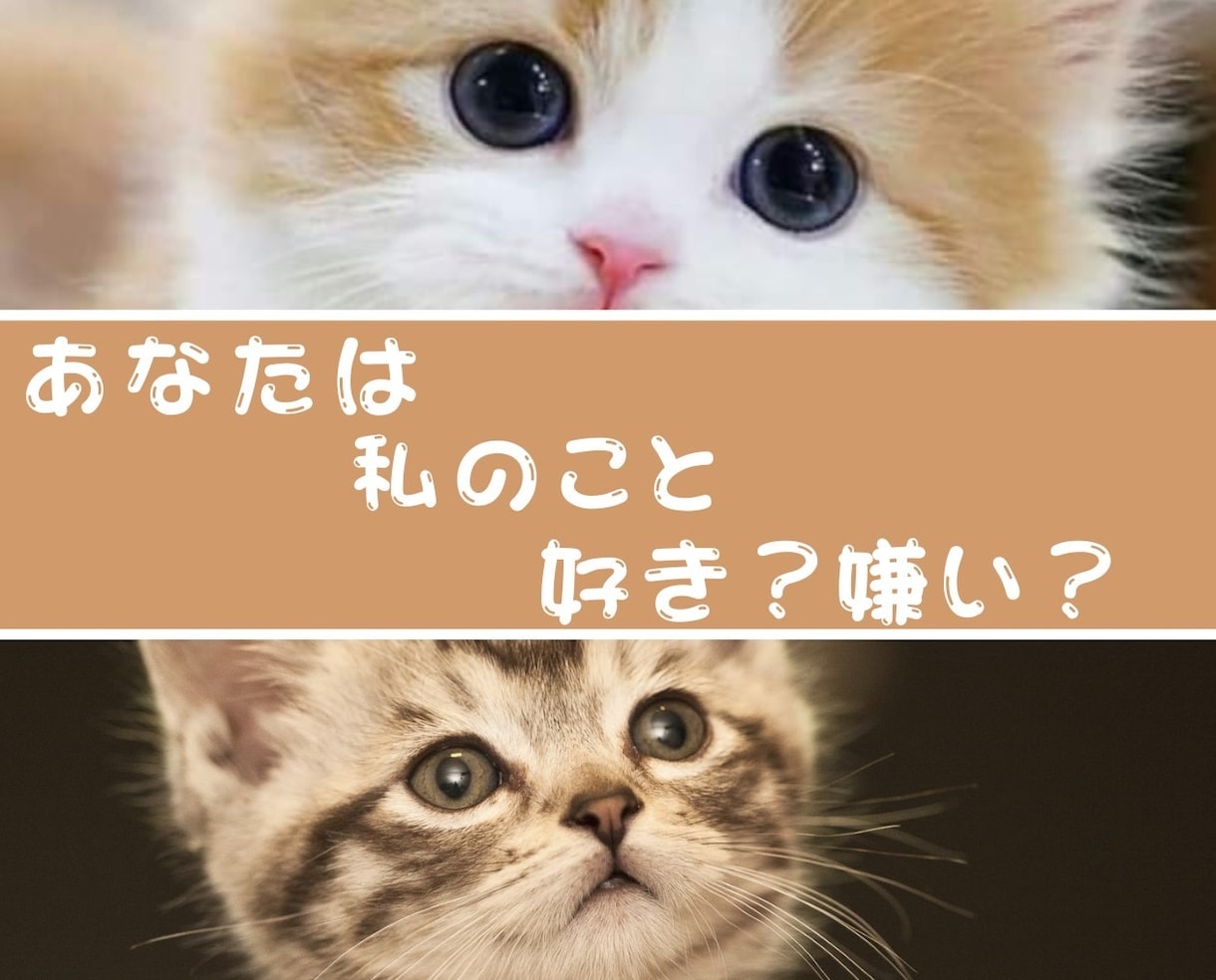 あなたが心から愛している大切なペットとお話しします 何を考えているの？もう一度話したい。ペットの気持ちを教えます イメージ5