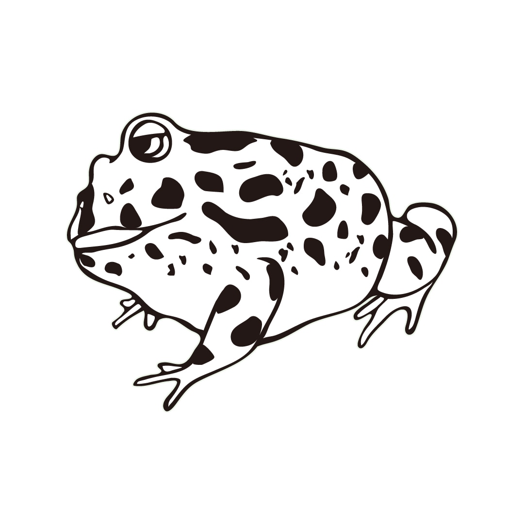 挿絵など、シンプルな生き物お描きします 子供向け冊子などに活用しやすいシンプルイラスト イメージ4