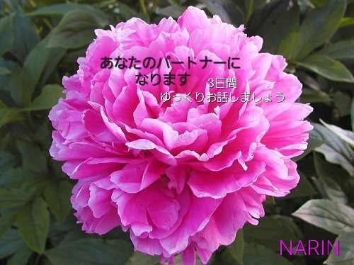 チャットで3日、友達、彼女、何にでもなります なんでも話せる特別なパートナーになりましょう！ イメージ1