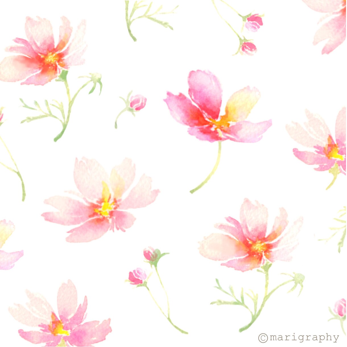 水彩画の淡く優しいタッチで植物イラストを描きます 〜丁寧なヒアリング〜 温かく優しいタッチが得意です♪〜 イメージ8