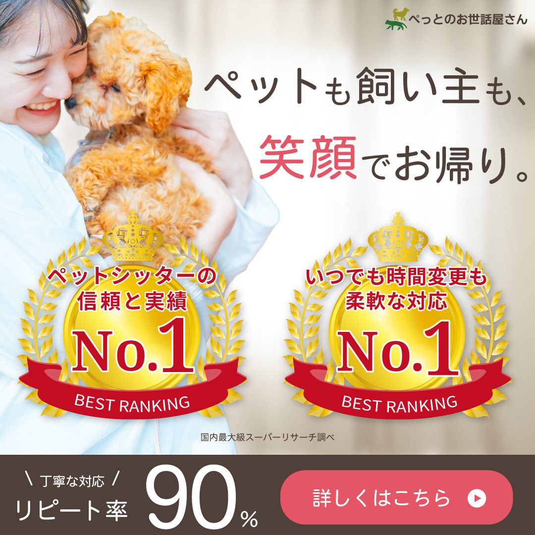 美容・ペット・服飾業界の女性向けバナー作ります 動画編集も出来るデザイナーがWEBバナーを制作します イメージ3